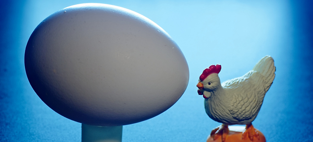 social media chicken and egg